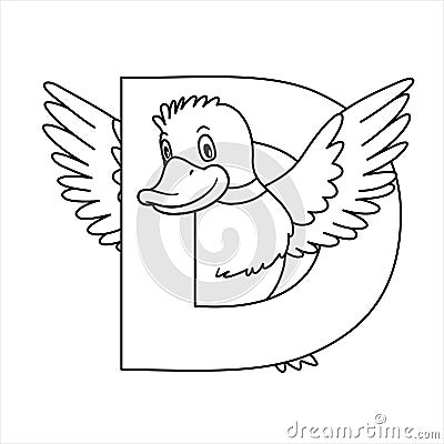 Animal alphabet. Capital letter D, Duck. For pre school education, kindergarten and foreign language learning Vector Illustration